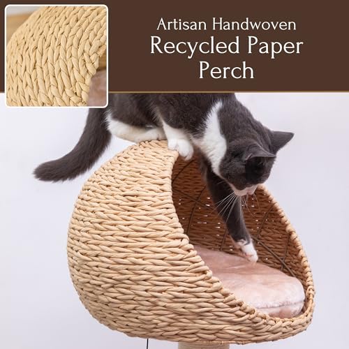 2 Level Cat Tree with Handwoven Recycled Paper Rope Baskets (Brown Beige)