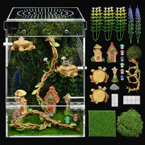 Jumping Spider Enclosure Starter Kit (Green / Large)