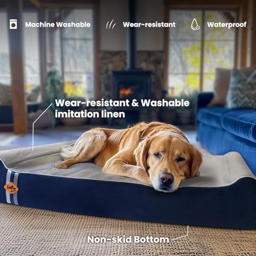 Orthopedic Dog Bed (50.0"L x 36.0"W x 10.0"Th / Slate Blue)