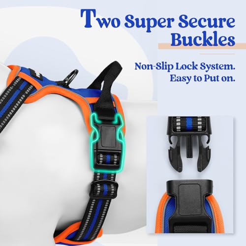 Dog Harness No Pull Medium Sized with 2 Leash Clips (Medium / Blue & Orange)