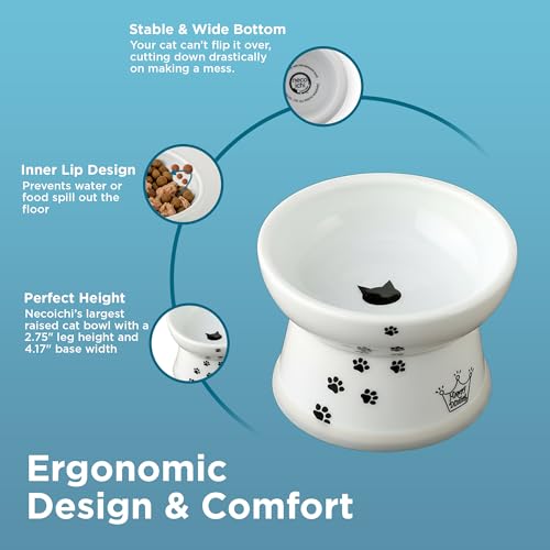 Necoichi Porcelain Ceramic Elevated Cat Food Bowl (Cat / Regular)