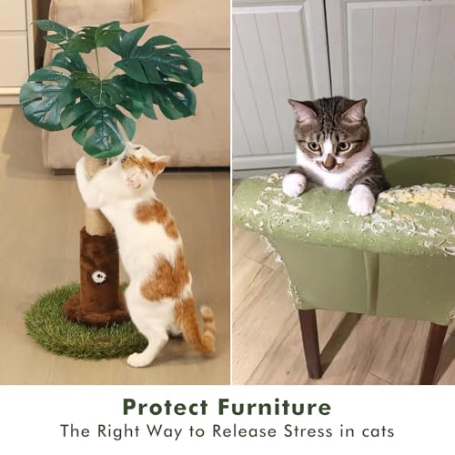 25" Kitten Scratching Post (24.8-Brown / 24.8in)