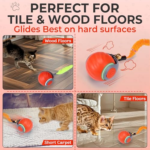 Interactive Cat Toy Ball (01 Orange)