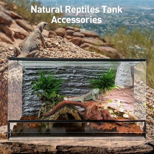 Natural Driftwood for Aquarium Decor (Mopani driftwood （10-14 inch pack of 2）)