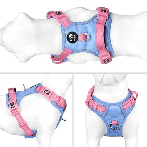 No Pull Dog Harness (Baby Blue Base & Pink Straps / Small)