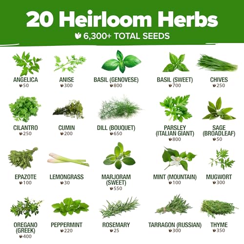Premium Herb Seeds Variety Pack