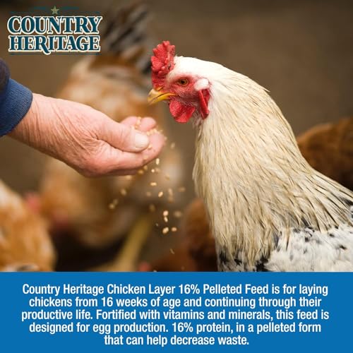 Country Heritage 10LB Hen Egg Layer Pellet Chicken Feed (Pellets / 10 Pound (Pack of 1))