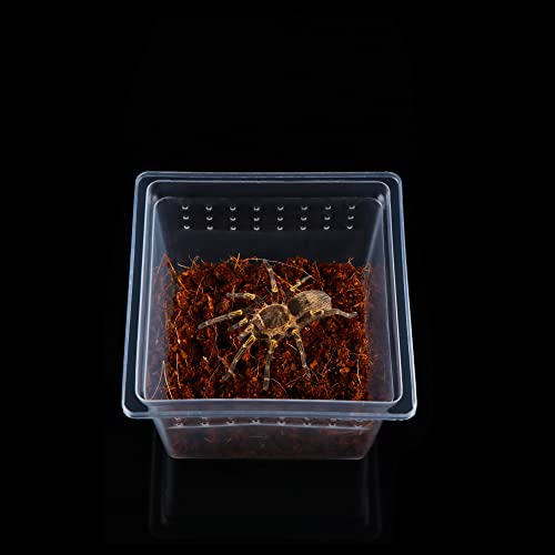 20 Pcs Spider Terrariums Breeding Box Hatching Container Acrylic Feeding Box for Small Reptile Scorpion Centipede Insect