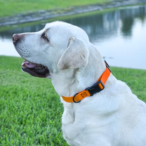 Biothane Waterproof Dog Collar with Quick Release Buckle Strong Coated Nylon Webbing with Odor (1"W by 15-25"L / Tangerine Orange)