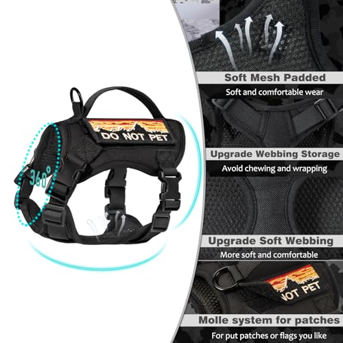 Tactical Cat Harness and Leash Set for Walking (L / black)