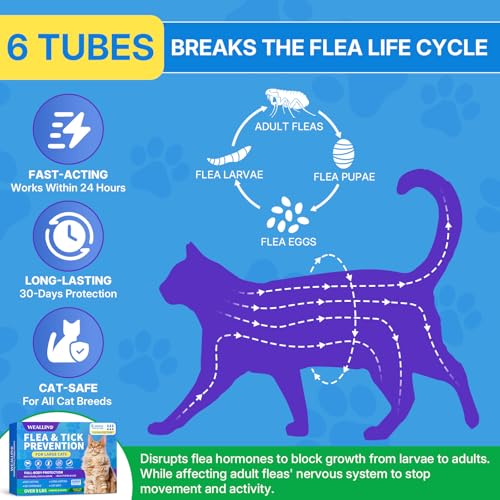 Flea and Tick Prevention for Large Cat