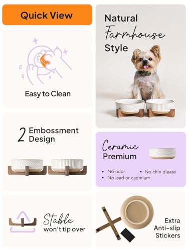 Ceramic Dog and Cat Bowl Set with Acacia Wood Stand (S-2 Cups / Lines+Dot)