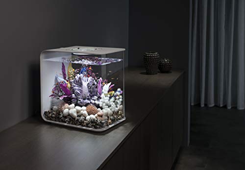 Flow 15 Acrylic 4 (4 Gallon / White with MCR Lighting)