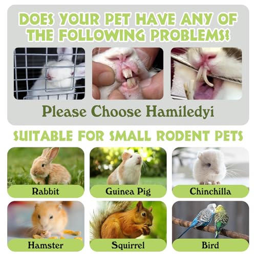 Rabbit Seagrass Mat Hanging Bunny Chew Toys for Teeth Rabbit Enrichment Activity Mat Small Animal Toys for Guinea Pigs Chinchillas Gerbils Birds