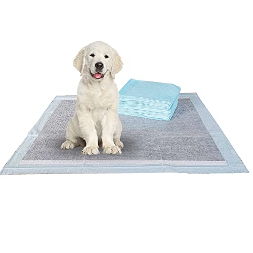 Charcoal Puppy Pads XL 320 Count 34"x28" (XL / 320-Count (Charcoal))