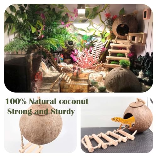 10PCS Crested Gecko Tank Accessories (one)
