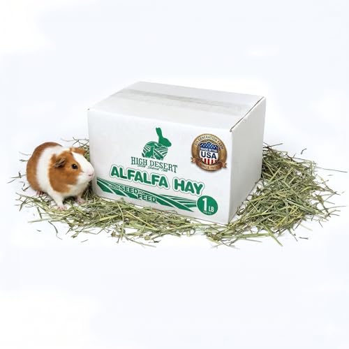 Alfalfa Hay for Young Rabbits and Guinea Pigs (1 Pound (Pack of 1))