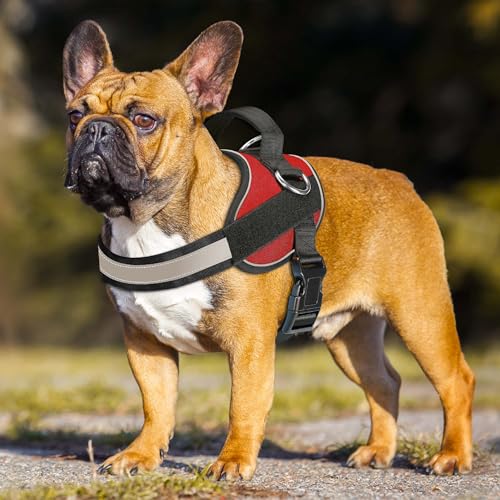 Essential Dog Harness (M / Red)