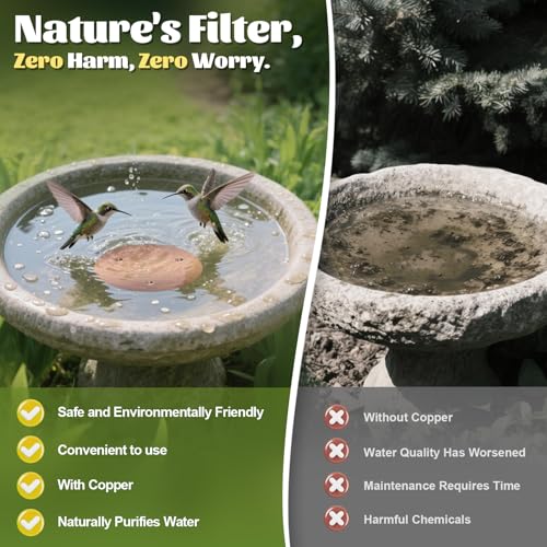 1 Pack Bird Bath Copper Disk (Copper/1PCS)