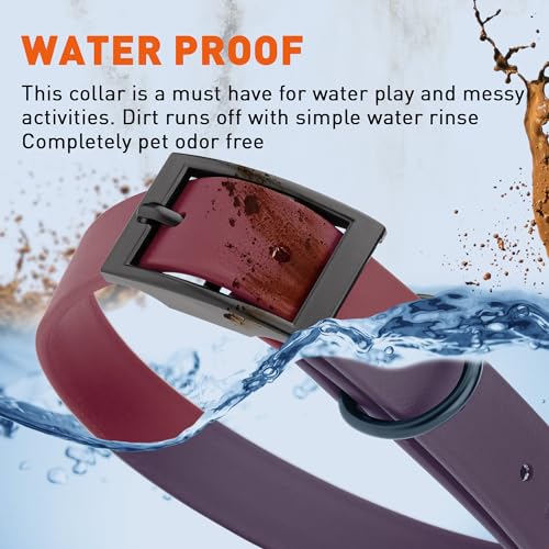 Biothane Waterproof Dog Collar Strong Coated Nylon Webbing with Black Hardware Odor (W1" x L18-22" / Merlot Burgundy)