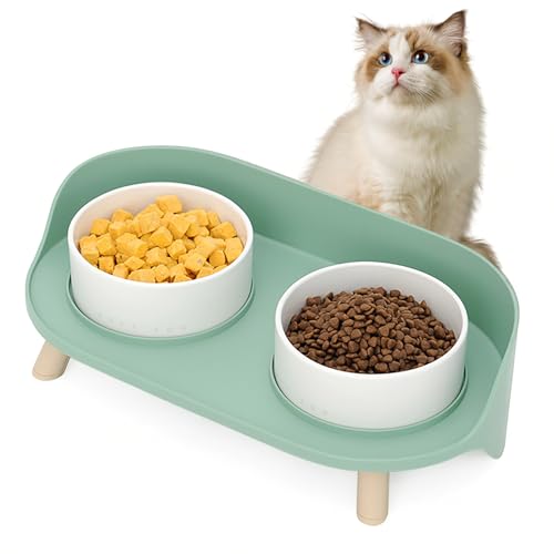 Elevated Dog Bowls Set (Green)