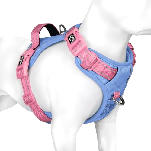 No Pull Dog Harness (Baby Blue Base & Pink Straps / Extra Large)
