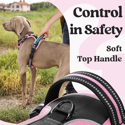 Dog Harness Medium Sized (Black & Pink / Medium)