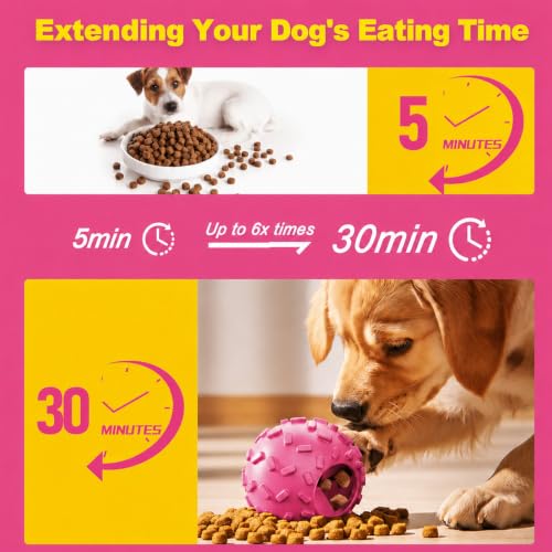 Treat Dispensing Dog Toy (Purple)