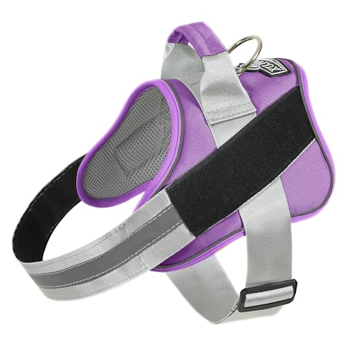 Dog Harness No (X-Small (Pack of 1) / Lavender)