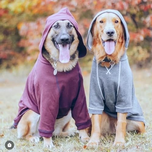 Essentials Dog Hoodie (18 inch (Pack of 1) / Dog Hoodie - Burgundy Red)