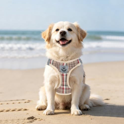 Dog Harness Collar and Leash Set No Pull for Small Medium Sized (Khaki / XL (CHEST 20"-22"))