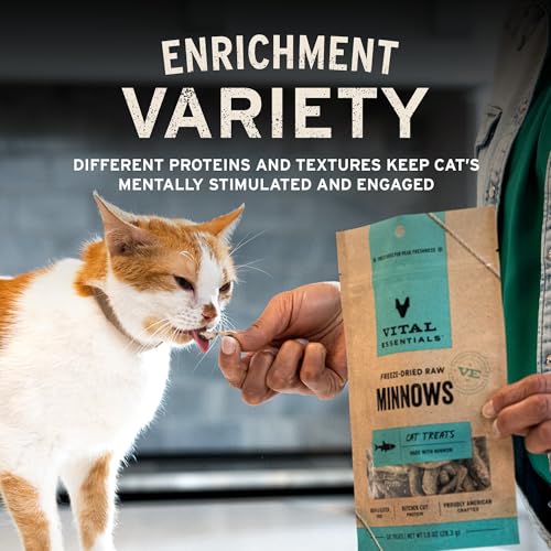 Freeze Dried Cat Treats (1 Ounce (Pack of 1))