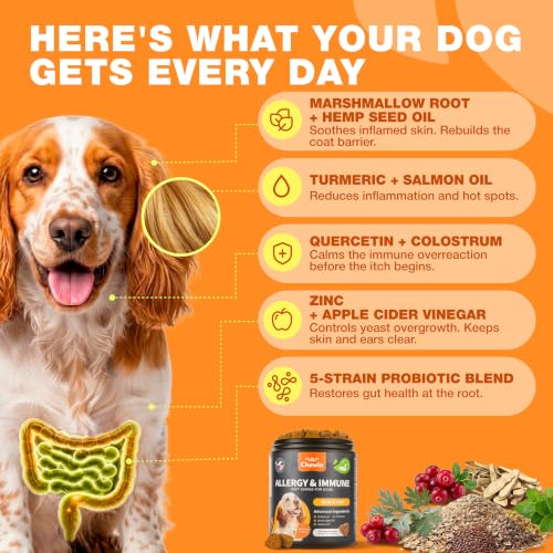 Dog Allergy Relief Chews for Itchy Skin (180 count / Allergy Support Chews)