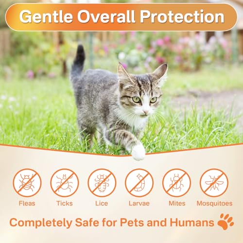 Flea and Tick Prevention for Cats