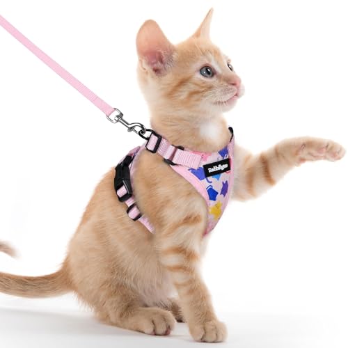 Cat Harness and Leash Set (Xxs / Purrty Pink)
