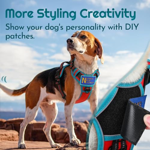Dog Harness No Pull for Small Dogs (Small / Red & Teal)