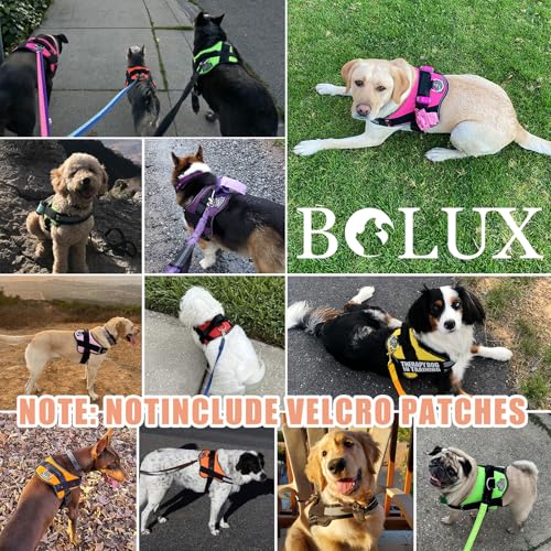 Dog Harness No (Small (Pack of 1) / Brown)