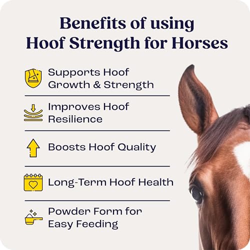 Summit Equine Hoof Strength Powder for Horses