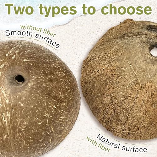 7 Pcs Reptile Hideouts Natural Coconut Shells Hut Leopard Gecko Tank Accessories for Aquarium Fish Hermit Crab Hide Cave Small Snake Tarantulas Lizard Chameleon (6 Pack Smooth)