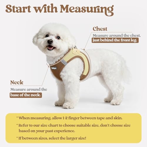 Dog Harness Small Sized and Leash Set (Brown & Beige / Xs (chest: 13.3 - 15.5"))