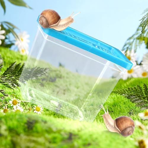48 Pack Small Plastic Reptile Carrier Tarantula Enclosure Breeding Box Hatching Container for Spider Snail Turtle Hermit Crab Insect