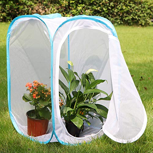 Insect and Butterfly Habitat Cage Pop (White With Blue / 15.7 x 15.7 x 23.6 inches)