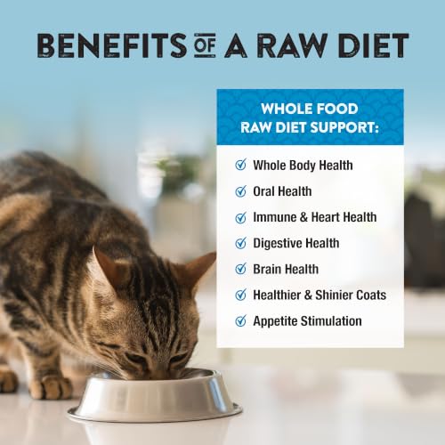 Freeze Dried Turkey Cat & Kitten Food (11 Ounce (Pack of 1))