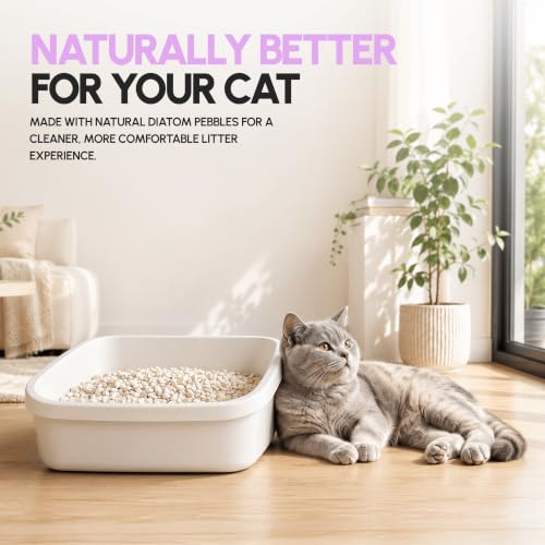 Original All Natural Cat Litter (3 Bags)