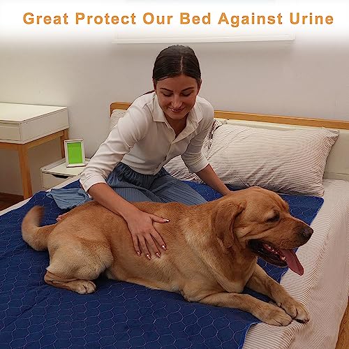 2Pack Dog Pads Washable 53”x65” (2Pack 53”x65”)
