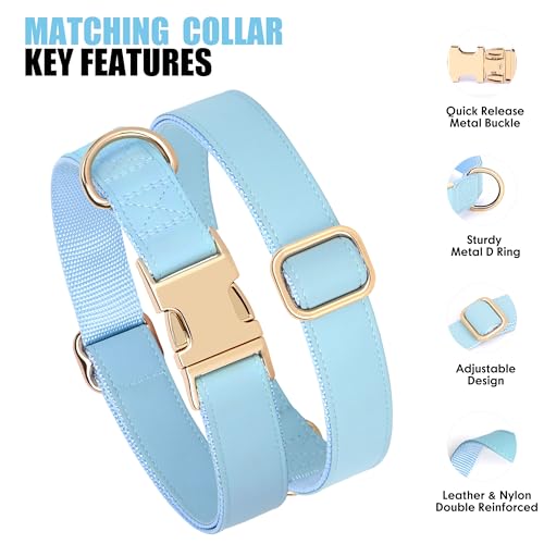 Soft PU Leather Dog Collar (S: Fit 9-14" Neck(10-20 lbs) / Blue)