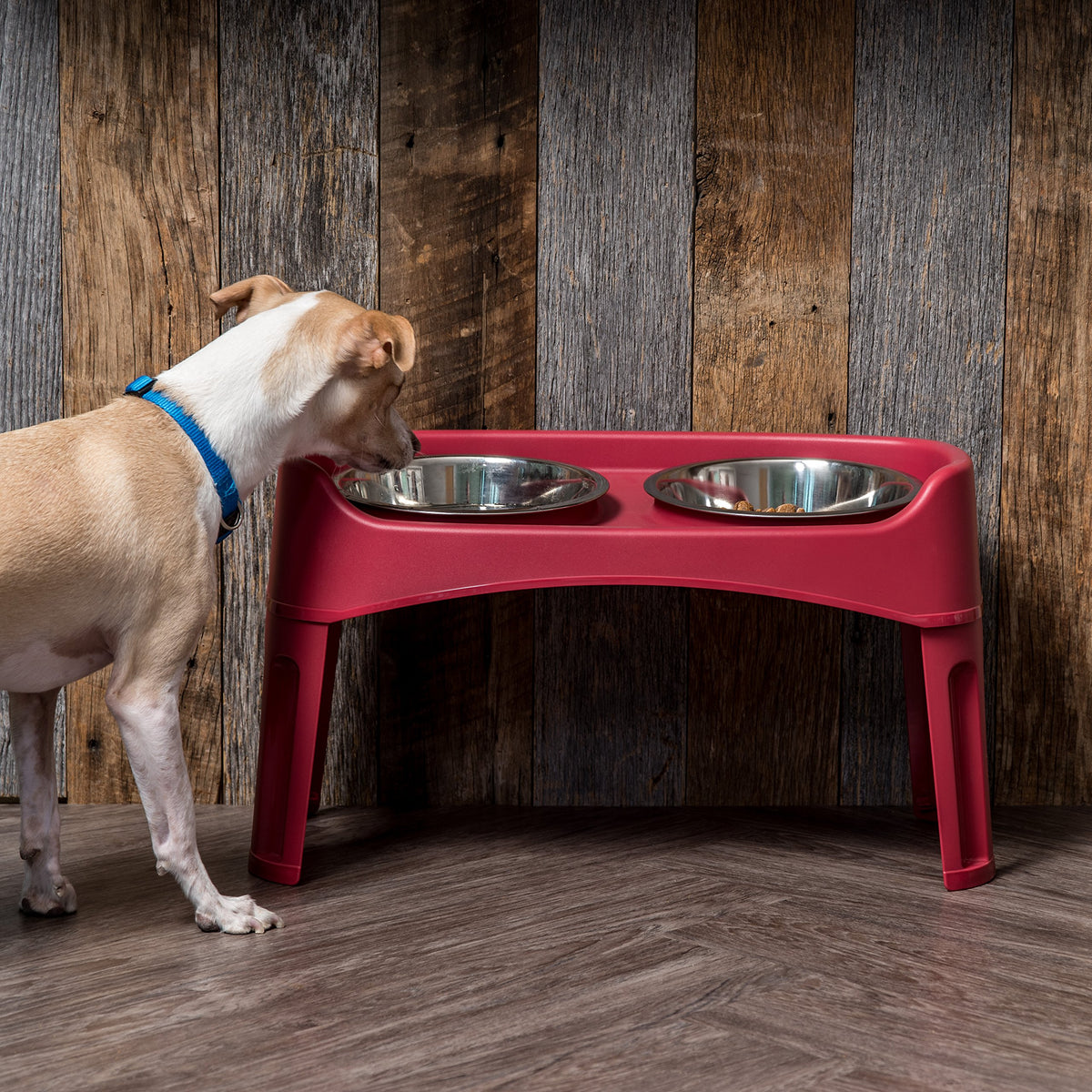 Elevated Dog Bowls (Red)