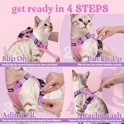 Cat Harness and Leash Set (Xs / Pink & Light Purple)