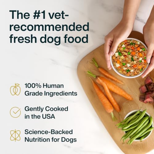 Pantry Fresh Wet Dog Food (12.5 Ounce (Pack of 12))
