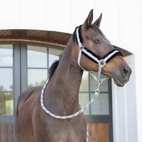 Valkyrie Ultra Fleece Padded Leather Fuse Breakaway Horse Halter (Slate Grey/Black / Cob)